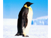 Captcha image 4715