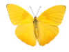 Captcha image 8693